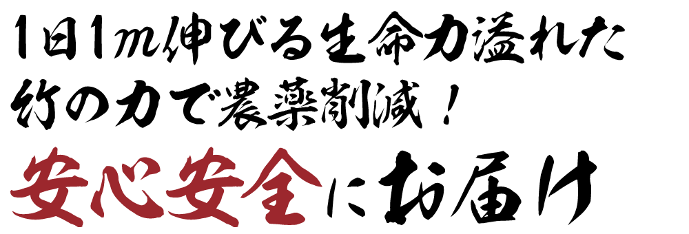 1日1ｍ伸びる生命力溢れた竹の力で農薬削減！安心安全にお届け