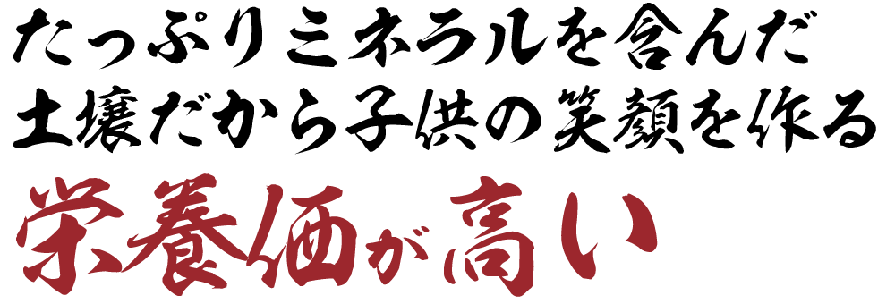 たっぷりミネラルを含んだ土壌だから子供の笑顔を作る栄養価が高い